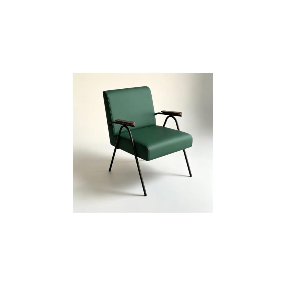 Industrial Accent Armchair Mid-Century Modern Chairs Leisure Reading Chair