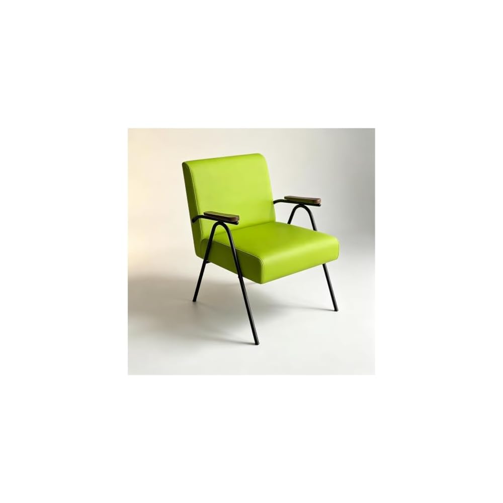 Industrial Accent Armchair Mid-Century Modern Chairs Leisure Reading Chair