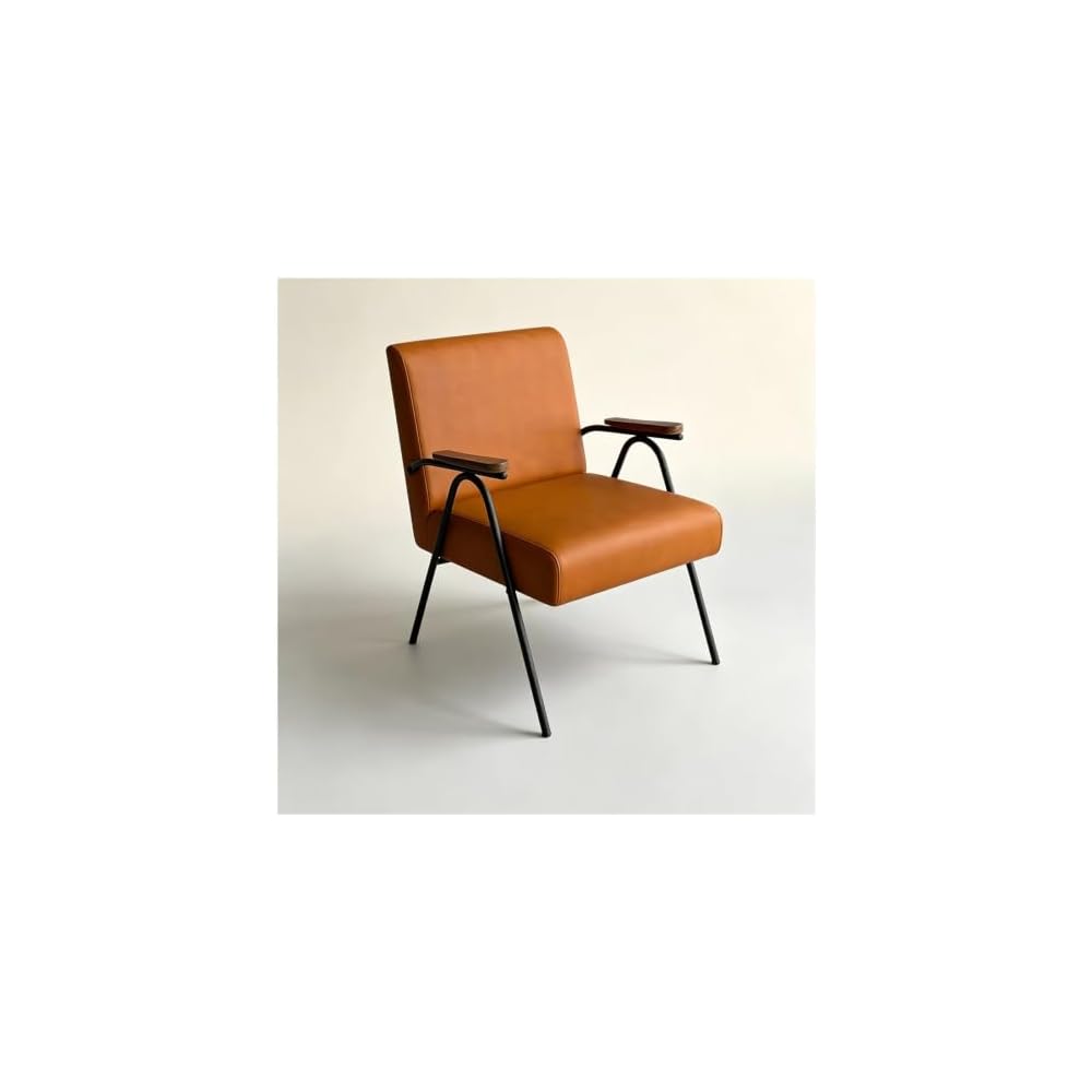Industrial Accent Armchair Mid-Century Modern Chairs Leisure Reading Chair