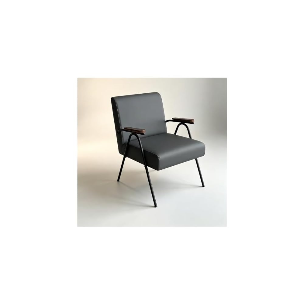 Industrial Accent Armchair Mid-Century Modern Chairs Leisure Reading Chair