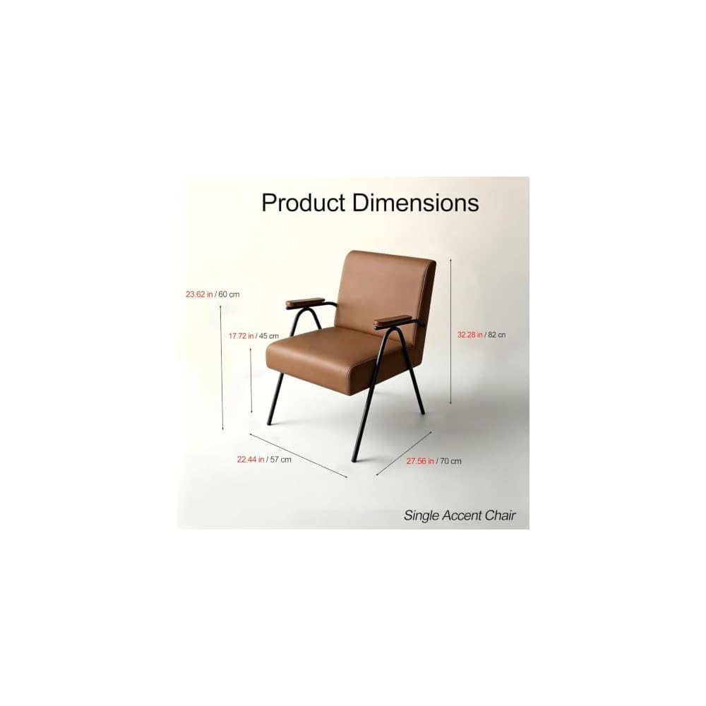 Industrial Accent Armchair Mid-Century Modern Chairs Leisure Reading Chair